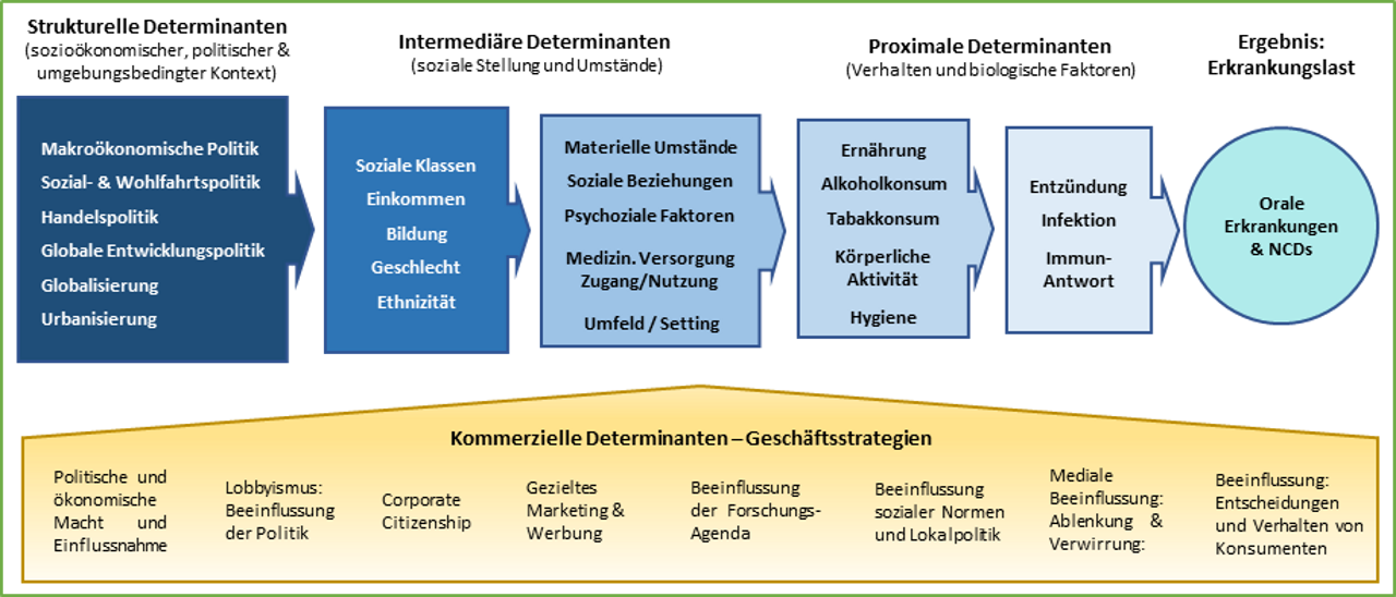 Abb. 1: Determinanten der Mundgesundheit (nach Peres et al. 2019)