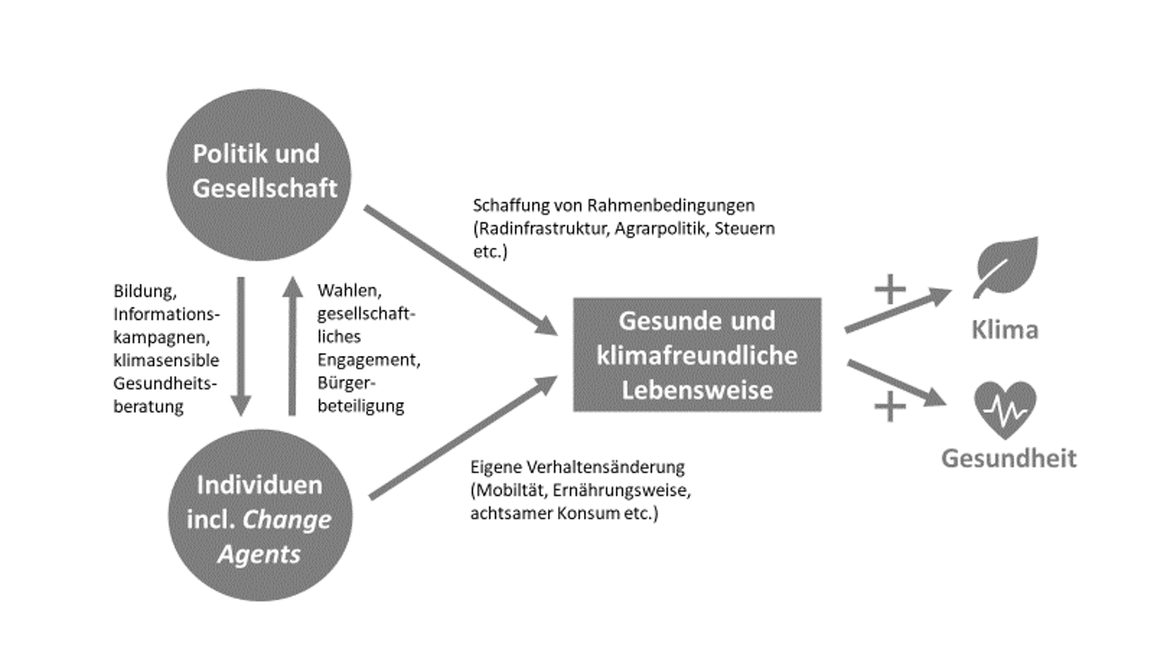 Abb. 2: Zusammenspiel von Individuen sowie Politik und Gesellschaft im Hinblick auf gesundheitsförderliche und klimafreundliche Lebensweisen (eigene Darstellung)