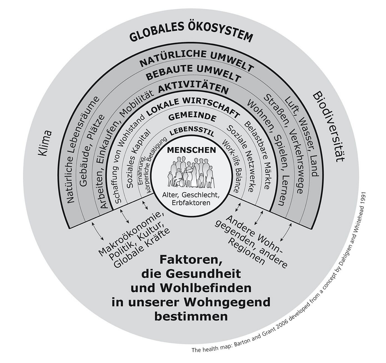 Abbildung 2: Health Map (Quelle: Barton und Grant 2006, basierend auf Dahlgren und Whitehead 1991)