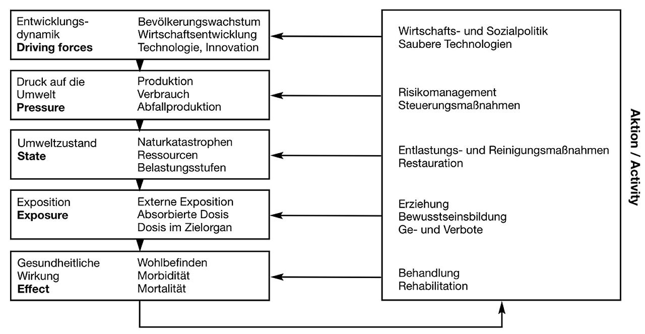 Abb. 1: DPSEEA-Modell (modifiziert nach Corvalan, Briggs & Kjellstrom 1996)
