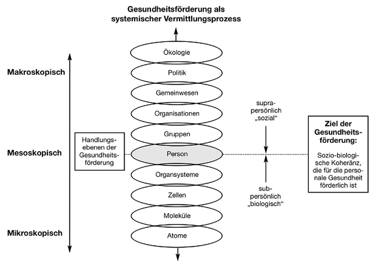 Abb. 2: Gesundheitsförderung als systemischer Vermittlungsprozess Abb. 2: Gesundheitsförderung als systemischer Vermittlungsprozess