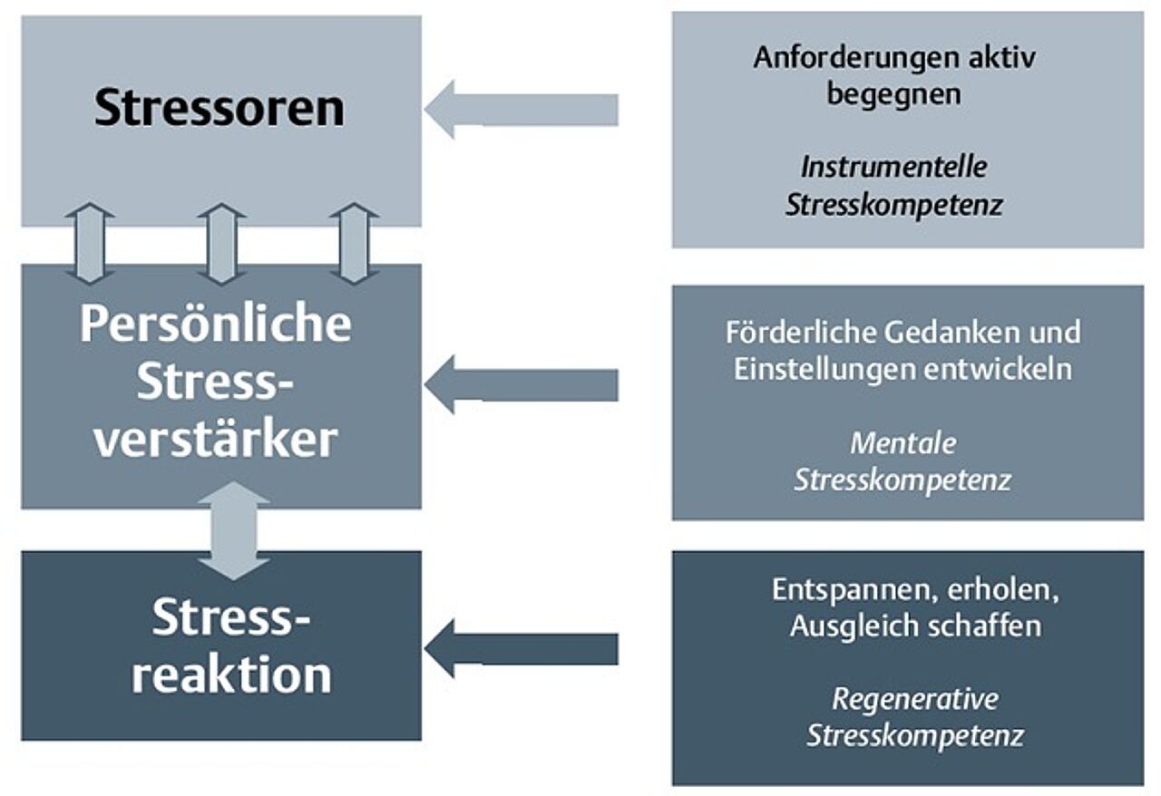 Abb. 4: Hauptwege des individuellen Stressmanagements (angelehnt an: Kaluza 2018, S. 63)