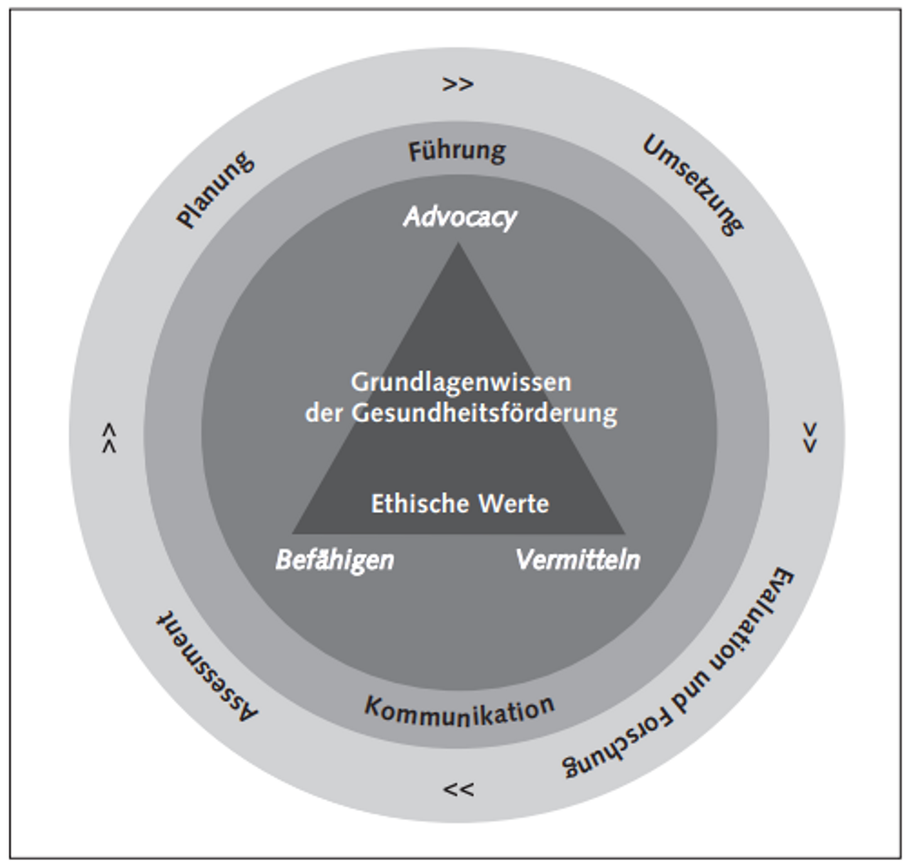 Abb. 1: Die CompHP-Kernkompetenzen der Gesundheitsförderung (Barry & BZgA 2014, S. 14)