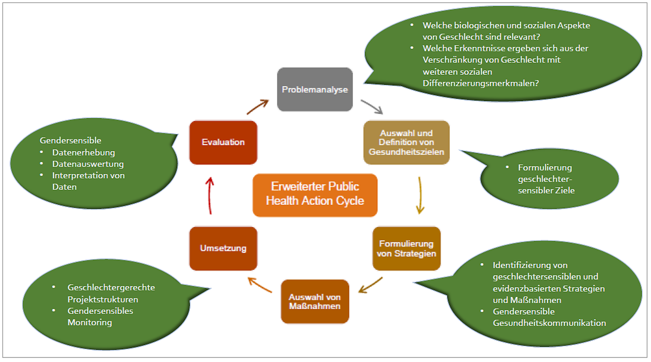 Abb. 2: Gendersensibler Public Health Action Cycle (eigene Darstellung)