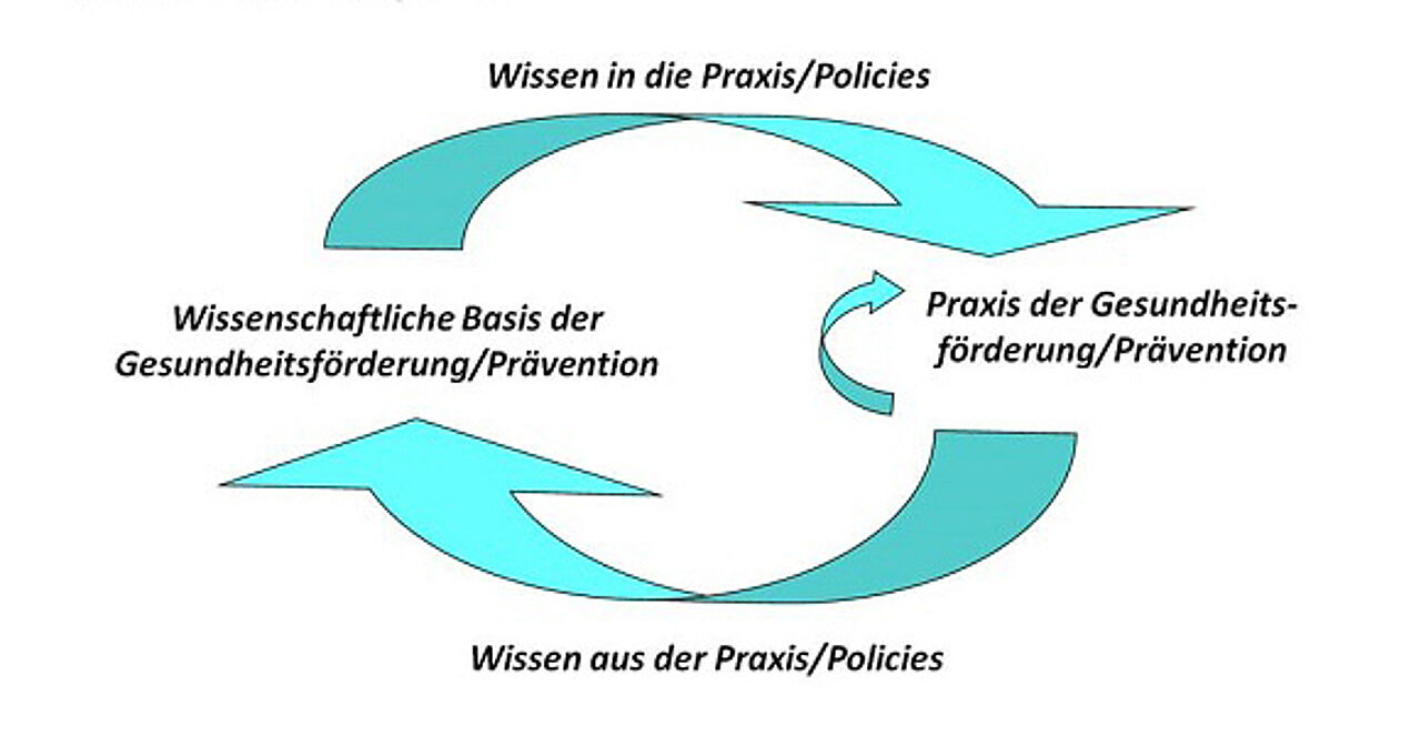 Abb. 2. Wissenszyklus (Broesskamp-Stone et al. 2010, S. 16) Abb. 2. Wissenszyklus (Broesskamp-Stone et al. 2010, S. 16)