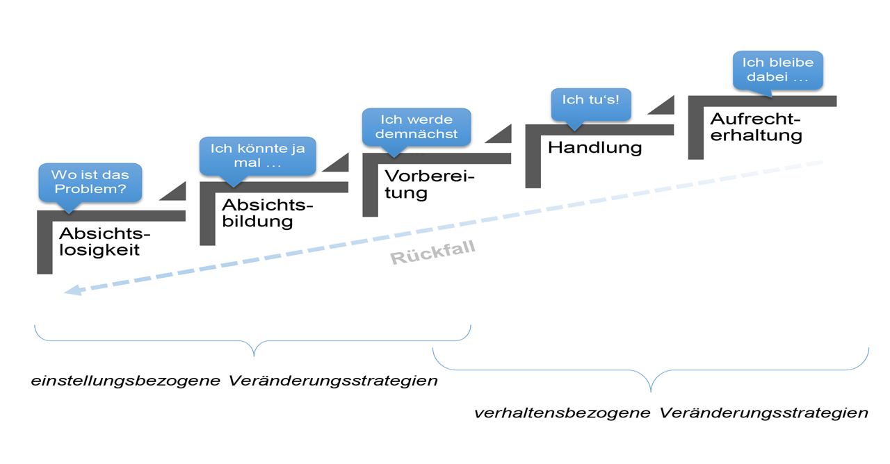Abb. 3: Stufen der Verhaltensänderung nach dem Transtheoretischen Modell (eigene Darstellung)