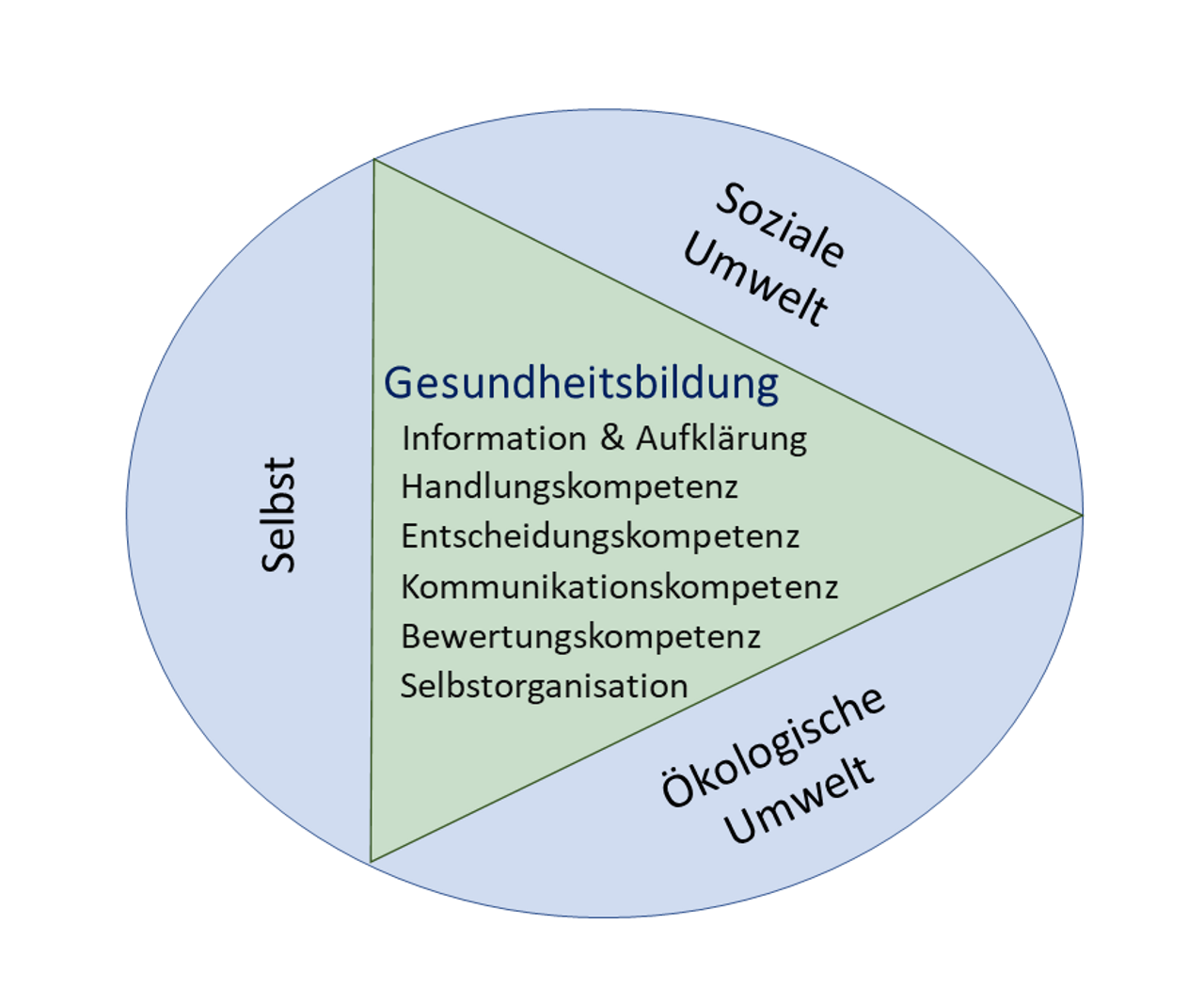 Abb.1: Aspekte und Einflussfaktoren von Gesundheitsbildung (eigene Darstellung)
