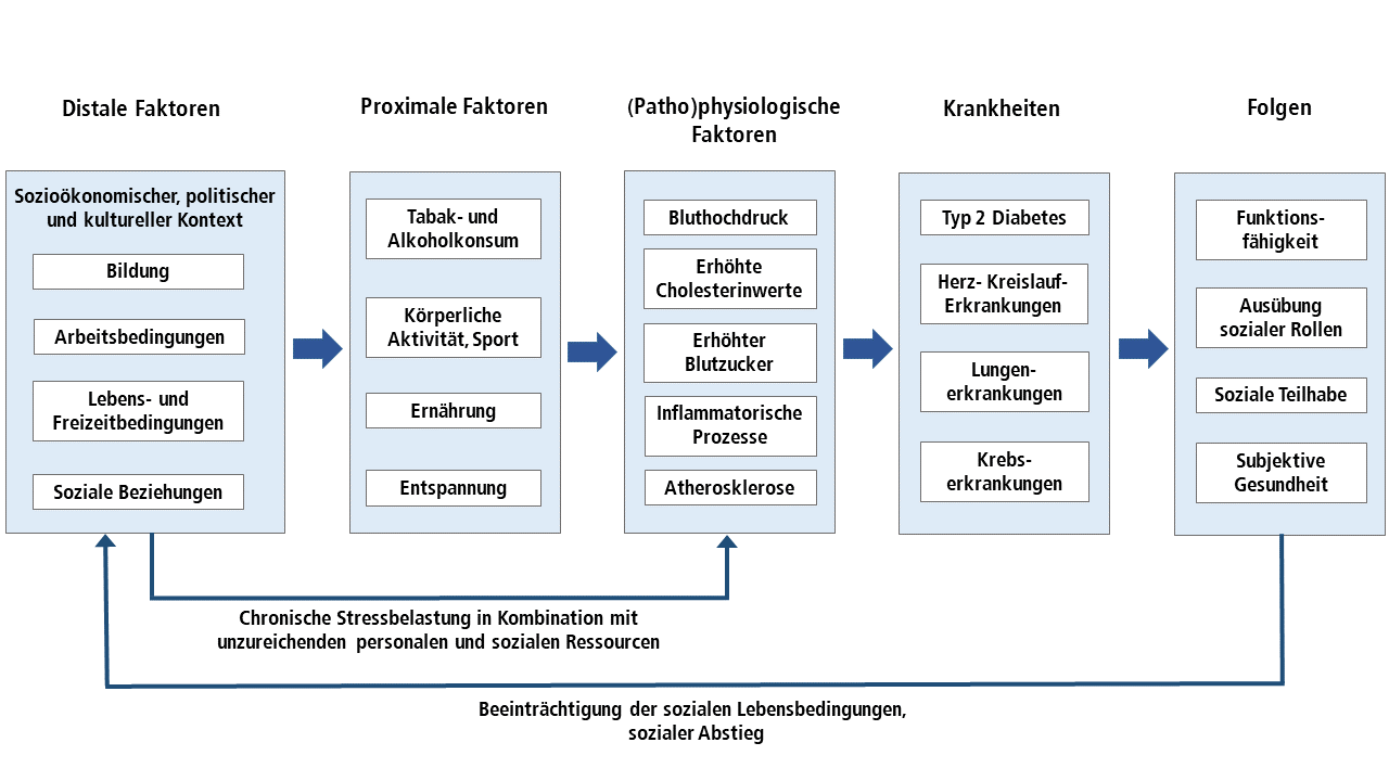 Abb. 1: Kausalketten der Krankheitsentstehung (eigene Darstellung in Anlehnung an WHO 2002; Parrish 2010)